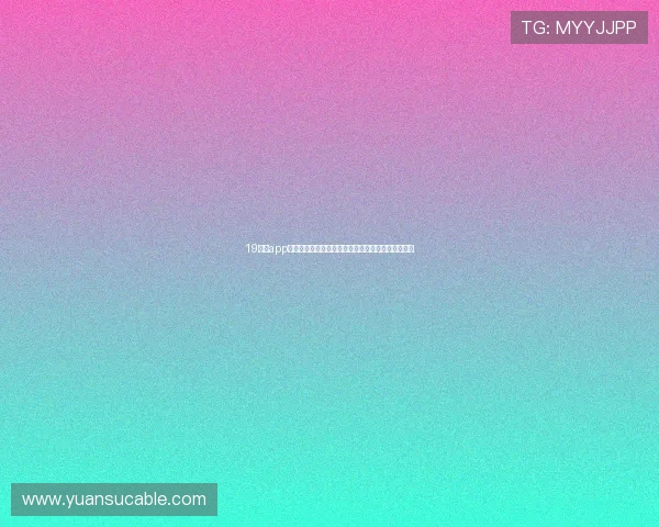 19体育app官方下载安装最新版本安全指南及功能全面体验分享