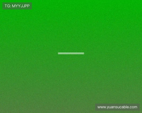 西瓜看球直播入口全新升级畅享精彩赛事不容错过