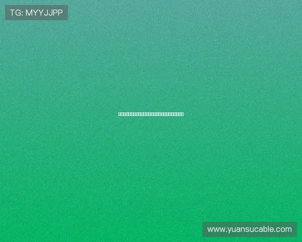 雷速足球:探索即时比分与赛事分析的全新体验与发展趋势